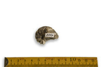 F 02269
<br/>
<br/>
<em></em>